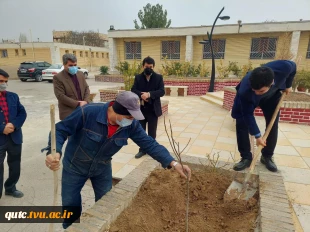 کشت نهال توسط ریاست دانشکده، معاونین و کارکنان در محوطه آموزشکده فنی و حرفه ای قوچان انجام شد

 5