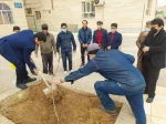 کشت نهال توسط ریاست دانشکده، معاونین و کارکنان در محوطه آموزشکده فنی و حرفه ای قوچان انجام شد

 7