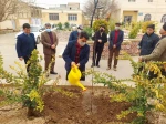 کشت نهال توسط ریاست دانشکده، معاونین و کارکنان در محوطه آموزشکده فنی و حرفه ای قوچان انجام شد

 17