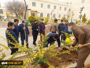 کشت نهال توسط ریاست دانشکده، معاونین و کارکنان در محوطه آموزشکده فنی و حرفه ای قوچان انجام شد

 18