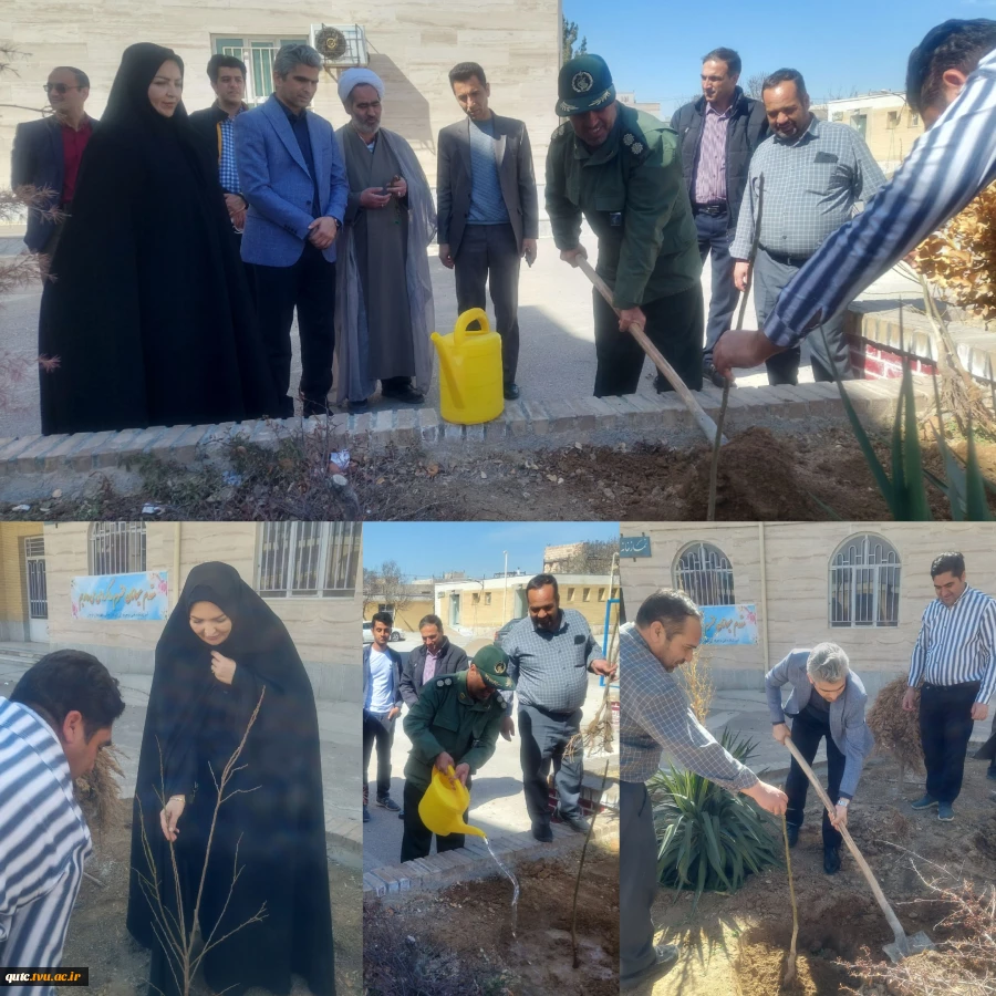 همزمان با جشن نیمه شعبان به مناسبت روزدرخت کاری باحضورجناب سرهنگ پاسدار رشادیان، سرکارخانم دکتر شوشتری و ریاست دانشگاه دکتر مهدی چم پور و حاج آقای مهدوی نژاد سه اصله نهال در فضای سبز آموزشکده کاشته شد.
 2