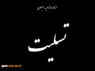 دانشگاهیان دانشگاه فنی و حرفه‌ای در پیامی شهادت جمعی از نیروهای جان‌برکف فراجا در شهرستان راسک استان سیستان و بلوچستان را تسلیت گفتند